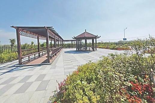 公路“服务区+”赋能多元出行体验
