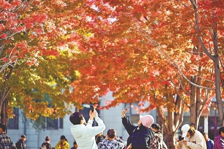 邂逅校园里一抹红
