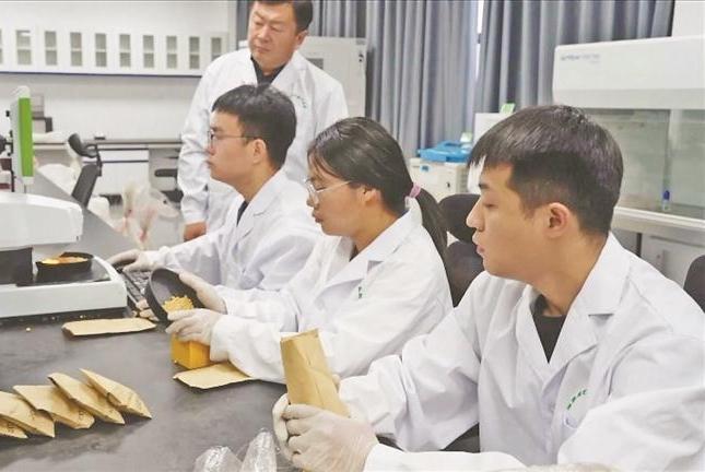 五大连池市 科技赋能育好寒地良种
